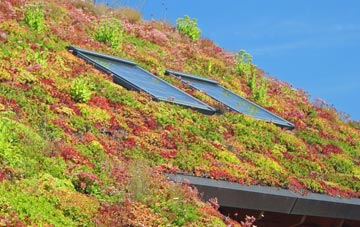 Gosberton living roof systems